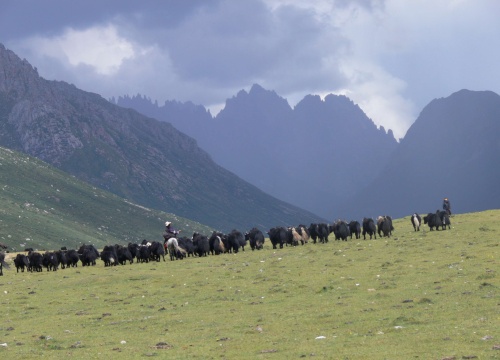 Posvátné pohoří Ňenbo Juce na území Gologů ve východním Tibetu. Foto: Daniel Berounský 2011.